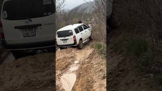 Toyota Probox - Удивляет