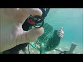 TREASURE FOUND IN THE OCEAN! Guns, Gold, Silver, Cell Phone & Coins Metal Detecting Underwater!