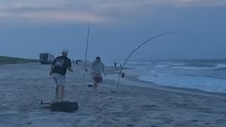 Shark Fishing Nj Surf Sandbar Shark