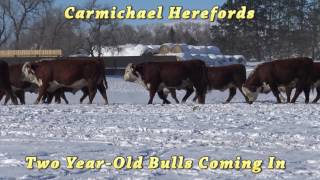 Carmichael Twos