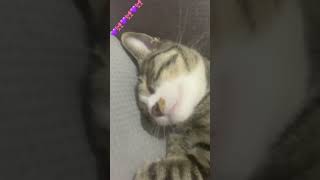 Kettt