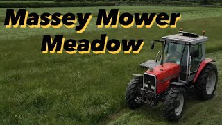 Mey 3085 & Dm246 Mowing Gr