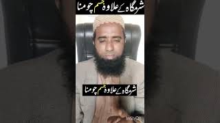 Kia Sharmgah Ko Chumna Jaiz Hai -