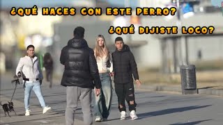 Broma Que Haces Con Esta Perr ?