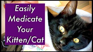 Gift Giving Gone WRONG!! Medicate Your Kitten/Cat ~ Deworm, Vaccinate, Antibiotics & Treat Ear Mites