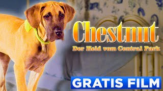 Chestnut Der Held Von Central Park - Offizieller Film