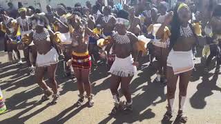 Zulu Reed Dance Naked For The King