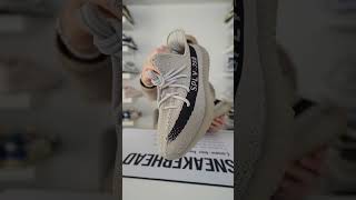 Which Is Fake?