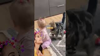 Girl & Her Cats Playing With Her Hair Funniest Cute Moment Ever