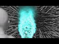 Fractal Universe Scar Legacy Of Hatred Official Music Fractal Universe Scar Legacy Of Hatred Official Music