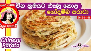 Chinese spring onion parata by Apé Amma