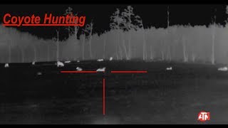 Coyote Hunting: THERMAL IMAGING- 2