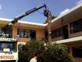 ΔΕΝΔΡΟΚΛΑΔΕΥΤΙΚΗ ΚΛΑΔΕΜΑ - ΚΟΠΗ ΔΕΝΔΡΩΝ