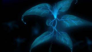 Watch Frailty A Flower In The Dark Tide video