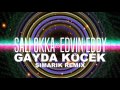 Sali Okka Edvin Eddy ROMAN HAVASI 2016 Simarik Remix New Gayda Kocek