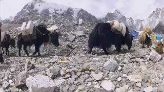 crowdfunding nepal 1 0 version español frances