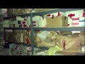 Hundreds of Rape Kits Lost or Never Processed