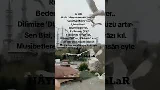 Hayırlı Alar