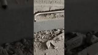 Ss Gas Pipe Fitting