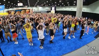 KPOP Random Play Dance in KCON LA 2019! 전세계에서 제일 핫하다는 케이콘 랜덤플레이댄스 직접 갔다왔다!!!!!