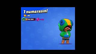 Leon 750 Kupa Yaptim