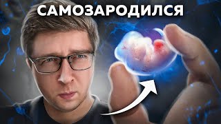 Эмбрион Зародился Из Клеток Кожи: У Него Мозг И Сердце | Пушка #40