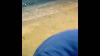 Polat Alemdar Pusu Kuruyor