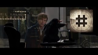 Fantastic Beasts and Where to Find Them Official Trailer 1 | 2016 1080p HD | Redmayne | TRAILERANK