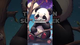 Sevimli Panda Likonun Macerası