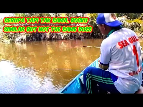 Awalnya Biasa Tapi Joran Dipaksa Sampai Ke Bawah Perahu || Mancing Udang Galah#36