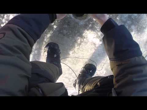 ловля налима 2015 ловля налима 2015