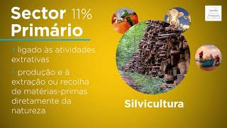 Atividades económicas em Portugal