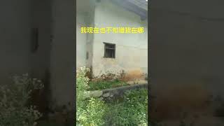 我太难了..