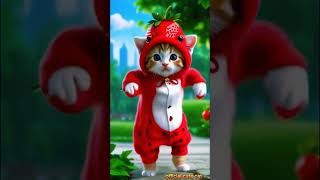 Cat Catdance
