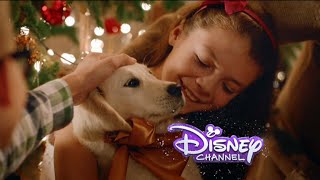 Disney Channel España Navidad 2014: Cortinilla Genérica 3