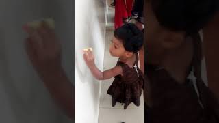മമയട പനന
