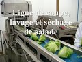 assaisonner une salade