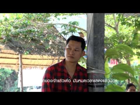 สนุ๊ก สิงห์มาตร อาร์ สยาม - บ่ใว้ใจทางบ่วางใจเธอ thumb