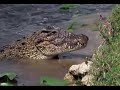 Cuba Tropical Island Paradise Bbc Long Doentary images Cuba Tropical Island Paradise Bbc Long Doentary