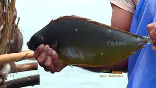 Finda Andrian Berburu Ikan Di Idam Dehe Jejak Petualang 201021