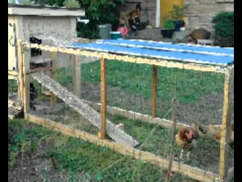 Chicken coops for dummies | Info and tips on building chicken coops 