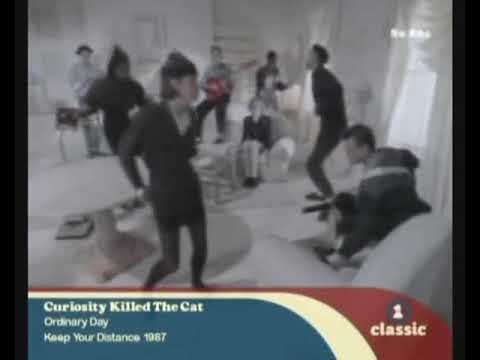 Curiosity Killed the Cat - Ordinary Day