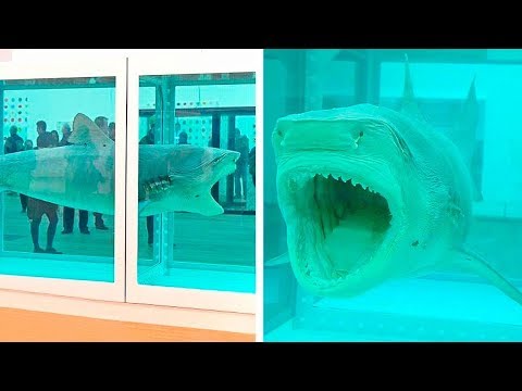 5 БЕСПОЛЕЗНЫХ ВЕЩЕЙ, НА КОТОРЫЕ МИЛЛИАРДЕРЫ ТРАТЯТ ДЕНЬГИ! 5 БЕСПОЛЕЗНЫХ ВЕЩЕЙ, НА КОТОРЫЕ МИЛЛИАРДЕРЫ ТРАТЯТ ДЕНЬГИ!