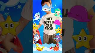 Baby Shark Apple Angeles Teamaangs Myappleangelesempress