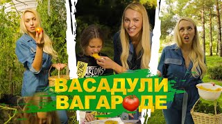 Васадули Вагароде. Выпуск 2: Томаты