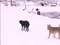 в магаданском порту, чтобы снять 
