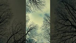 Bir Sana Bir De Bana - Baba Zula - Şems-Îkam-Er19