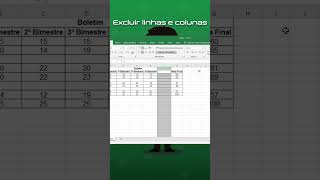 Excluir Linhas E Colunas No Excel