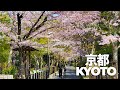 "QUESTO È IL GIAPPONE" - UNA GIORNATA PERFETTA A KYOTO