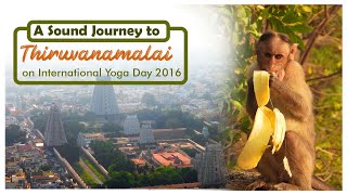 International Yoga Day 2016